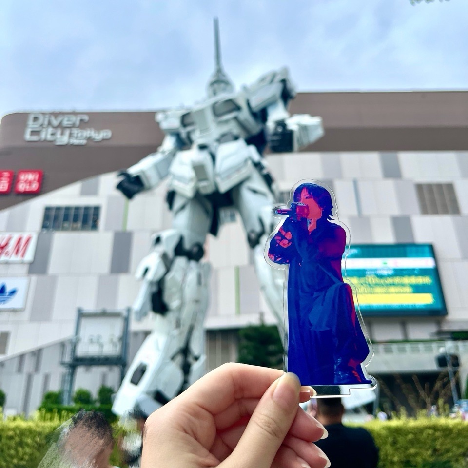 ユニコーンガンダムとキリト